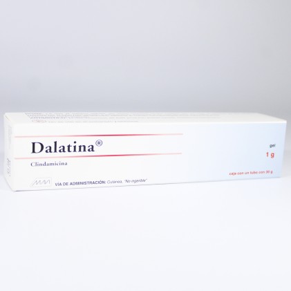 DALATINA CLINDAMICINA GEL 1G